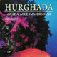 Hurghada – Guida alle immersioni