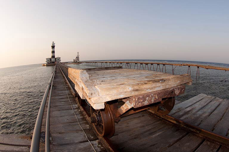 Daedalus Elphinstone