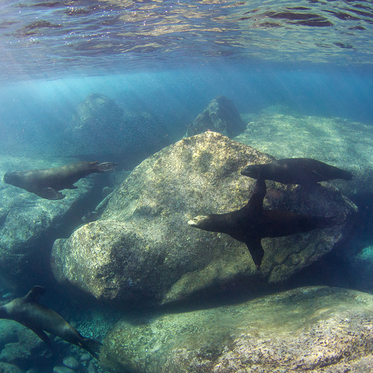 BAJA CALIFORNIA nel blu della Baja