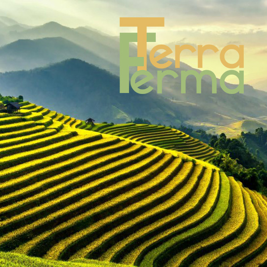 VIETNAM CAMBOGIA etnie del nord